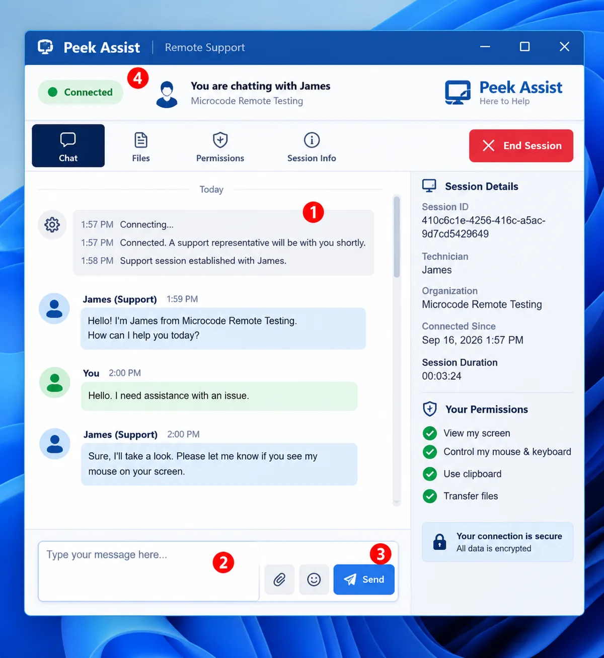Peek Assist product interface illustrating a clear view of the problem and the controls to solve it.